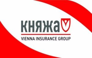 Страховая компания «Княжа»: основные продукты - фото