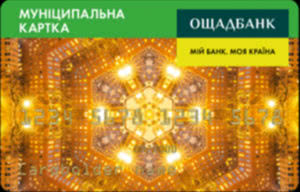 муниципальная карта