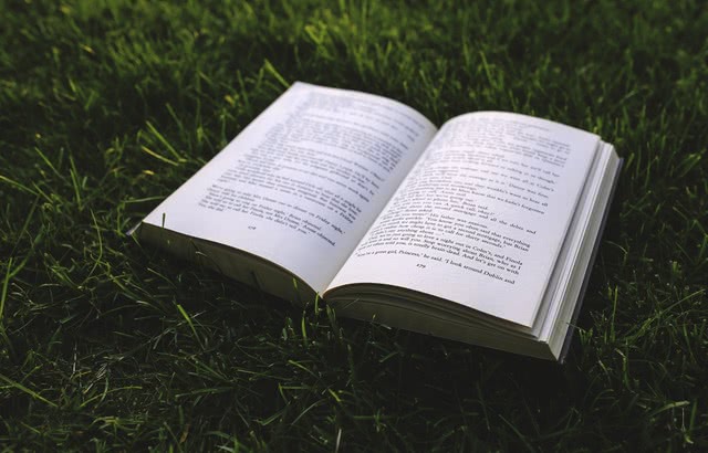 книга