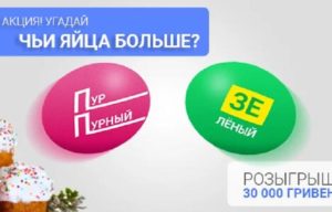 быстрозайм яйца